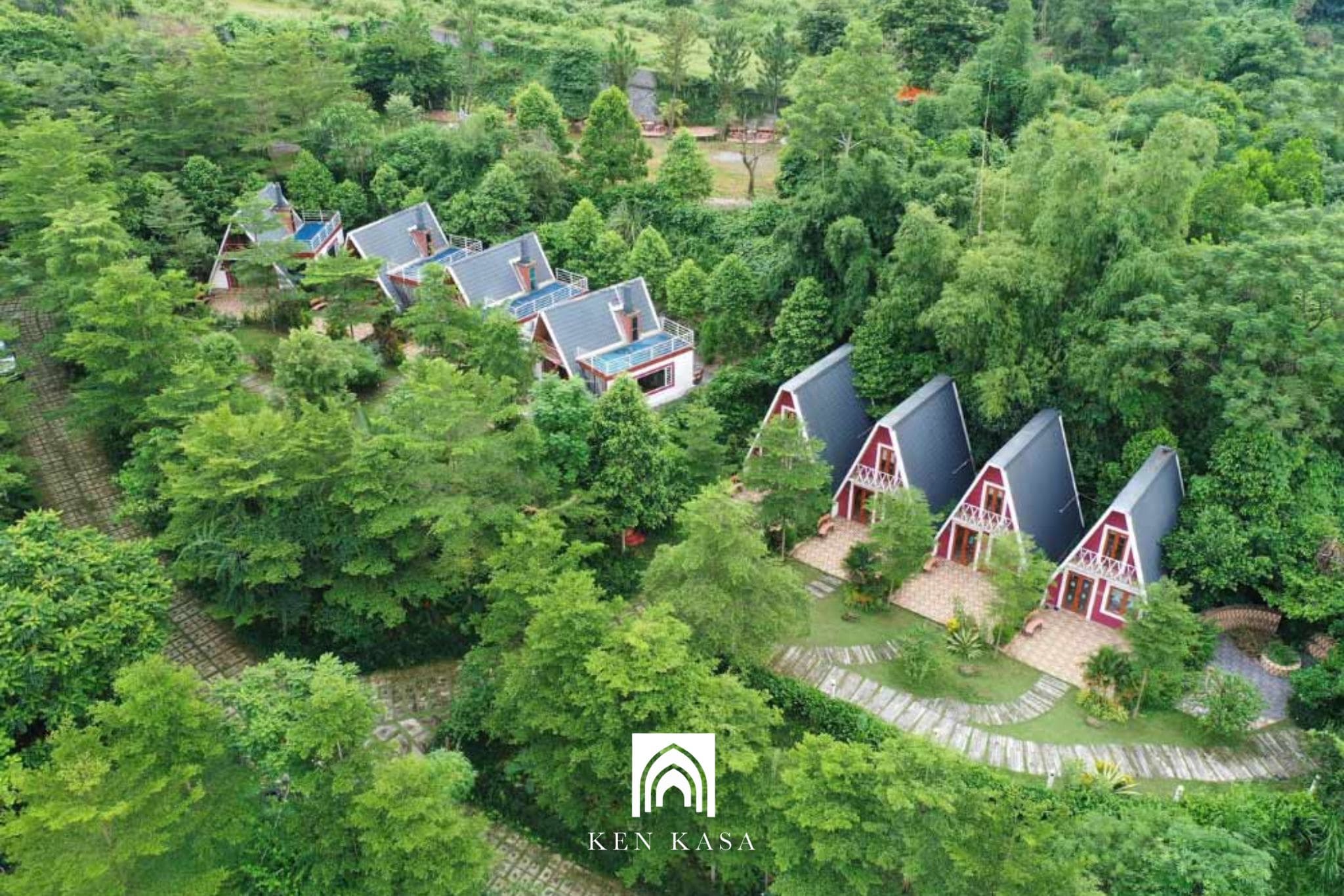 Thiết kế homestay nhà ống phong cách rừng núi
